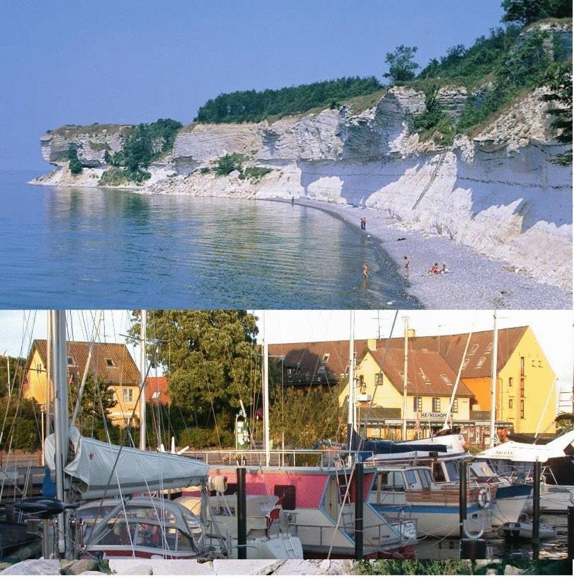 Rodvig Camping & Cottages Dış mekan fotoğraf